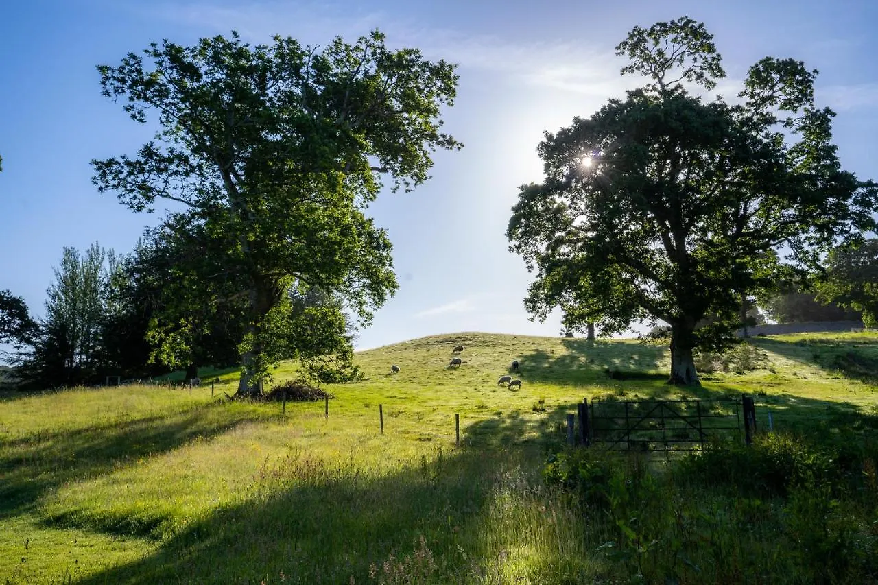 Westport Estate Glamping Village